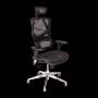Wp Sigma Ergonomic Chair