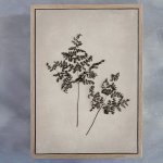 Art Forms In Nature 1 Art Print - A1 Framed Canvas With Natural Wood Frame