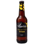 Double Ipa By Triggerfish Brewing - 4 Pack