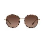Rotterdam Sand Tortoise Brown