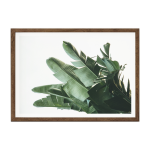 Banana Leaf Iv Art Print - A4