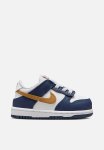 Nike Dunk Low Toddler