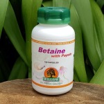 Betaine With Pepsin 100 Capsules Willow