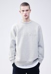 Regular Fit Scuba Sweatshirt - Grey