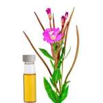 Palma Rosa Essential Oil 20ML