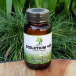 Sceletium 100 Big Tree Nutraceutical