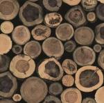 Forest Wood Pvc Wallpaper 0.53 X 10M