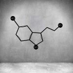 Serotonin Chemistry Symbols - Rust Coat L 1000 X H 640MM