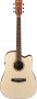 Ibanez PF10CE Acoustic Guitar W/ Pickup Open Pore Natural