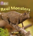 Real Monsters: Band 03 YELLOW