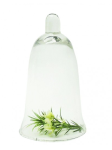 Glass Dome Biscuit Dome 16CM H X 9CM W - 16CM H X 9CM W