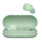 Sony WF-C700 True Wireless Earbuds – Green