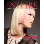 Book Inspire Vol 91 Colour texture
