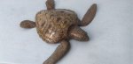 Turtle TT3015