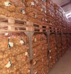 Valor Seed Potatoes Bulk Packs 5KG 10KG & 25KG - 25KG
