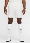 Nike Academy Dri-fit Football Shorts- Photon Dust