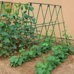 5PC Green Pe Plant Support Cages Climbing Vegetables & Flower Support Pergola Garden Trellis For Vines Plastic-coated Steel Tube