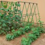 5PC Green Pe Plant Support Cages Climbing Vegetables & Flower Support Pergola Garden Trellis For Vines Plastic-coated Steel Tube Stakes