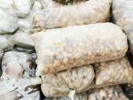 Pebbles 20 Kg Bag Gauteng Only - Limpopo Mix 25 Mm