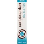 Caribbeantan Tan In A Can Gradual A 200ML