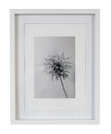 Dandelion Black & White - A3