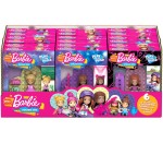 Mega Construx Barbie Do What You Love Asstd