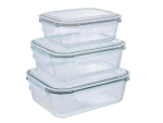 Borosilicate Glass Dansup Food Storage Container Set With Lids - 3 Piece