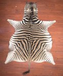 B Grade Zebra Hide 010 M