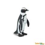 Sea Life African Penguin