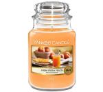 Yankee Candle Tropical Starfruit Large Jar Retail Box No - Micama