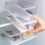 Fresh-keeping Boxed Fish And Fresh Fruits And Vegetables With Lid