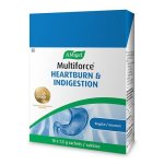 A Vogel Heartburn Indigestion Sach 10 Regular