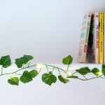 Kikkerland Ivy Leaf String Lights