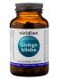 Ginkgo Biloba