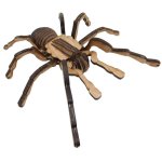 3D Wooden Model Chilean Rose Tarantula