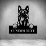 Belgian Malinois - 600MM / Matt Silver