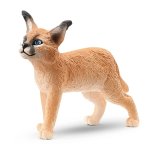Wildlife - Caracal Baby
