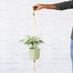 Macrame - Colour Pops - Mustard & Olive With Mint Green Emerson Excl. Plant