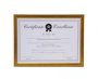 A4 Certificate Frame Antique Silver Gold