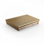 Bang & Olufsen BeoSound Level Portable Speaker – Gold Tone