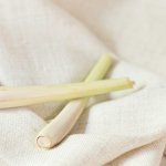 Lemongrass 20G T