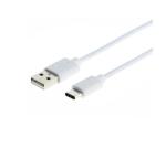 Intouch Silv USB Type C 2M Cable White