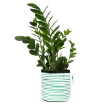GREE N Stripy Planter - Small