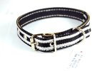 Collars Dog Web No 6 30MM X 64CM