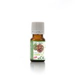 Sandalwood Nut Carrier Oil Organic - 10 Ml