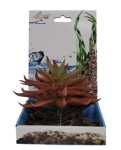 Akwa Plastic Plant – PP9925 5" High