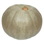 Pnp Blue Pumpkin