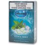 Premium Hookah Tobacco 50G - Gum & Mint