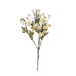 Daisy Stem
