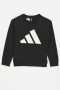 Adidas Boys Bl Sweater Black - 15-16